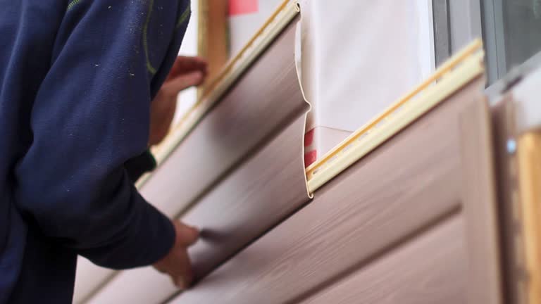 Best Carpet Removal and Disposal  in Homestead, PA